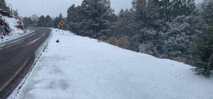 Prevén caída de nieve en la sierra de Durango