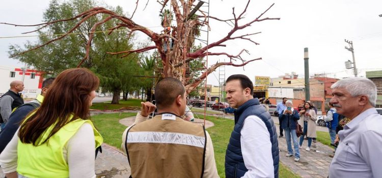 Reconstruyen Fuentes Danzarinas y el Árbol de la Vida