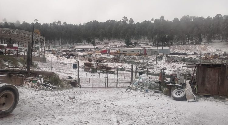 Primeras nevadas en Durango