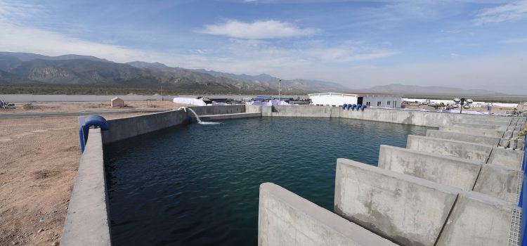 Supervisará la CAED el manejo de Agua Saludable