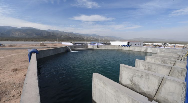 Supervisará la CAED el manejo de Agua Saludable