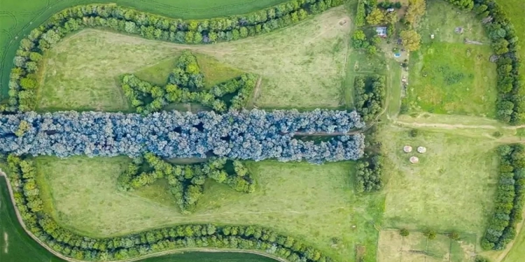 Creó un bosque con forma de guitarra en memoria de su esposa