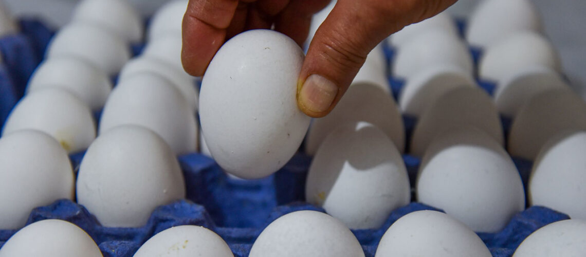 Incremento del huevo impacta a restaurantes y desayunadores