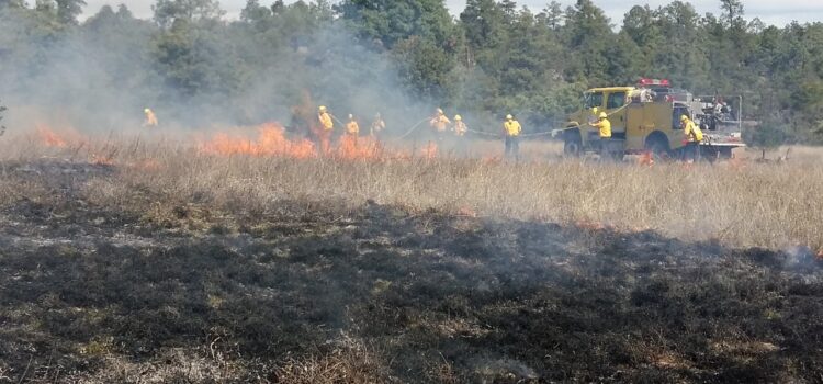 Aumentan los daños por incendios forestales en Durango