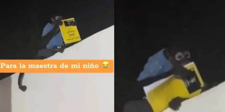 ¿Le creerá la maestra? en Culiacán un chango le robó la tarea a un niño