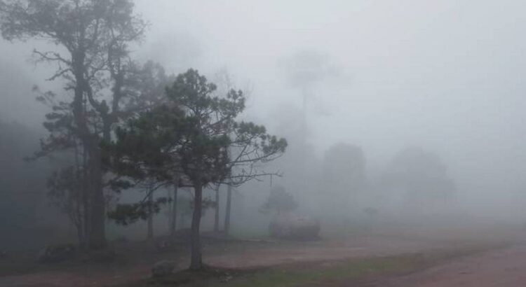 Reportan bajas temperaturas en la sierra