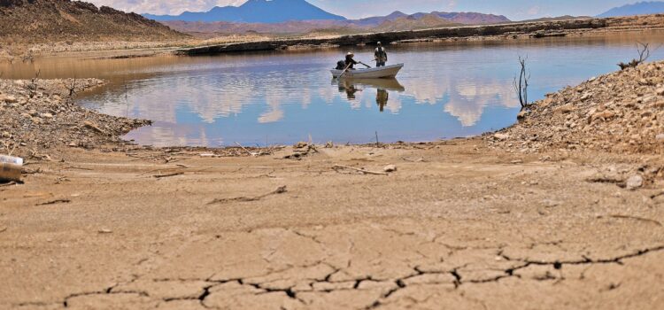 Autoridades buscan mitigar los efectos de la sequía