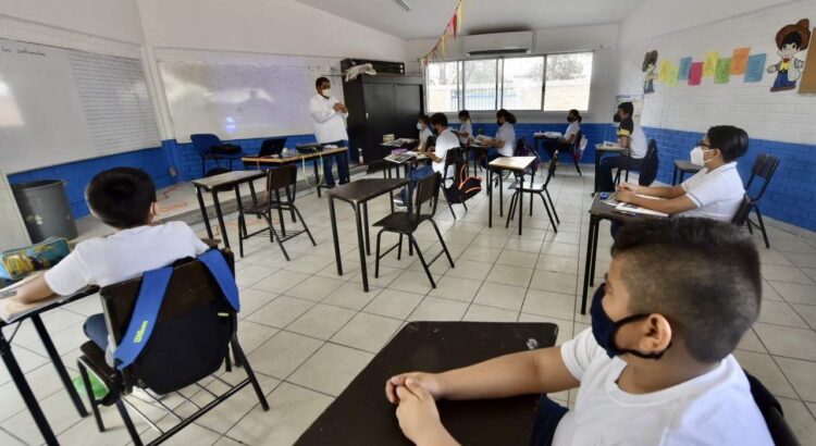 Reportan pérdida de matrícula los colegios de La Laguna