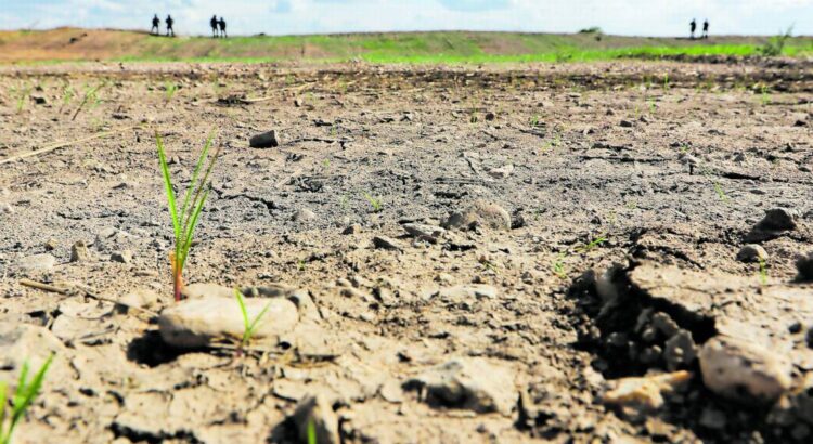 La sequía bajó gracias a las lluvias