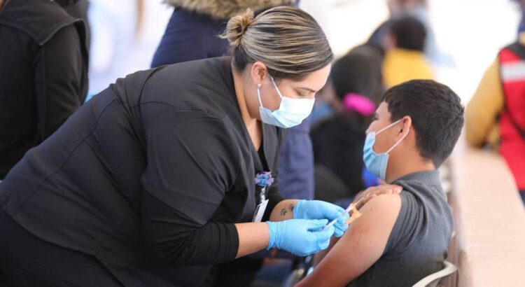 Listos para implementar campañas de vacunación contra la influenza