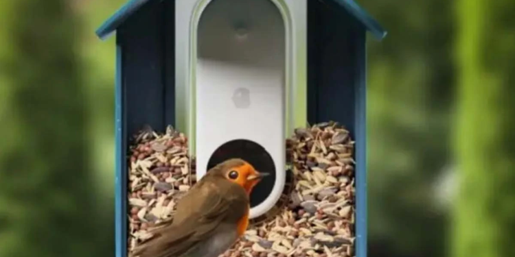 Bird Buddy revoluciona la observación de aves con identificación por IA