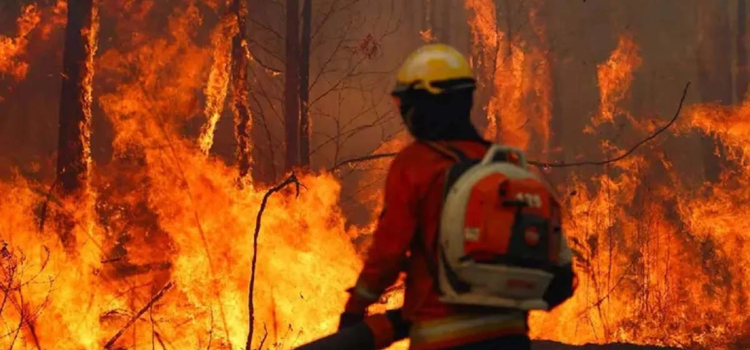 Bolivia enfrenta una emergencia nacional por incendios forestales: una crisis agravada por la sequía