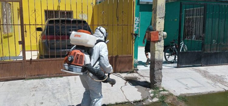 Piden incrementar medidas contra el dengue: comerciantes