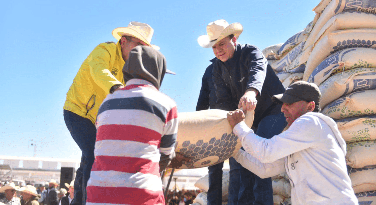 Impulsan el precio récord para el frijol y maíz