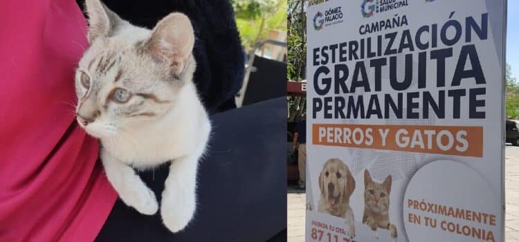 Inicia campaña permanente y gratuita de salud animal