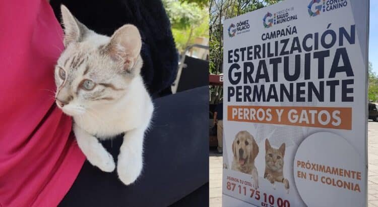Inicia campaña permanente y gratuita de salud animal