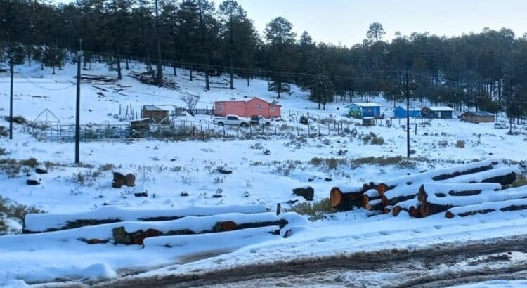 Siguen las bajas temperaturas en Durango