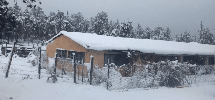 En La Rosilla reportan temperatura de menos 13 grados