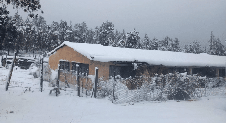 En La Rosilla reportan temperatura de menos 13 grados