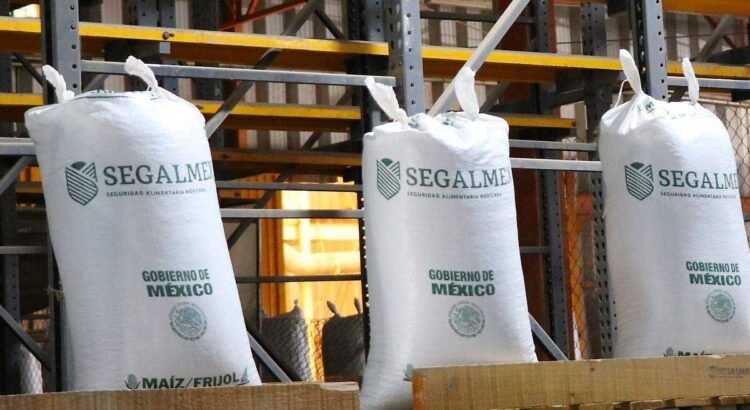 Aumenta el “coyotaje” por falta de pago de Segalmex