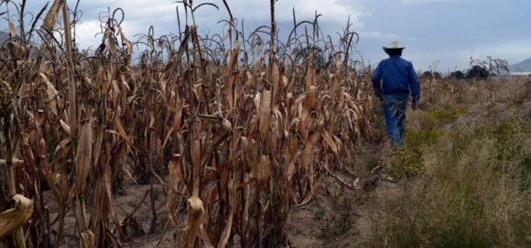Viven situación crítica Tlahualilo y Cuencamé por falta de agua Viven situación crítica Tlahualilo y Cuencamé por falta de agua