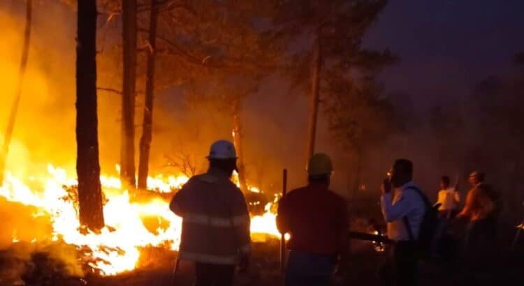 Piden incremento al presupuesto para combatir incendios forestales: diputados