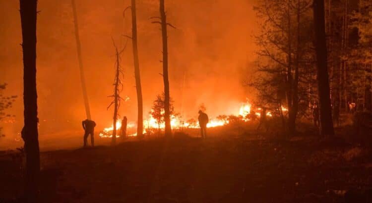 Incendio forestal afecta a Tepehuanes