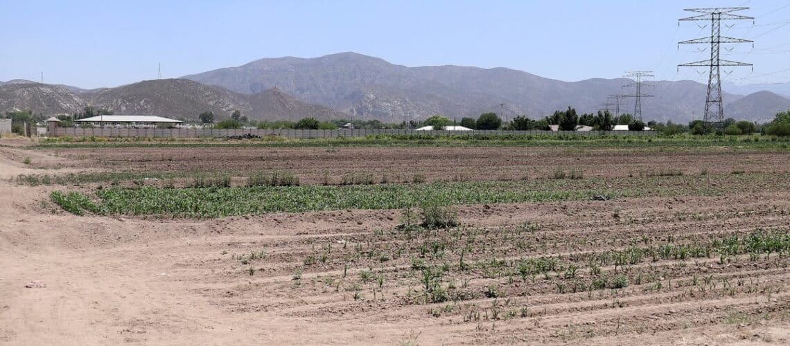 Preocupa a los productores la sequía en Nuevo Ideal