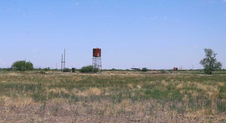Hay sequía del 41% en el territorio de Durango