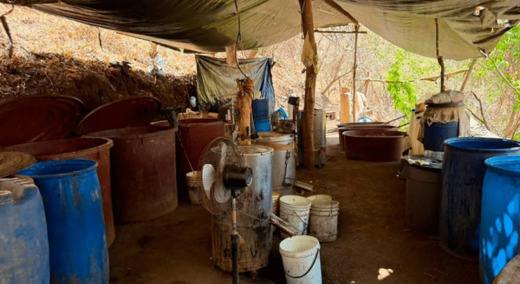 Desmantelan laboratorio de drogas y pista clandestina