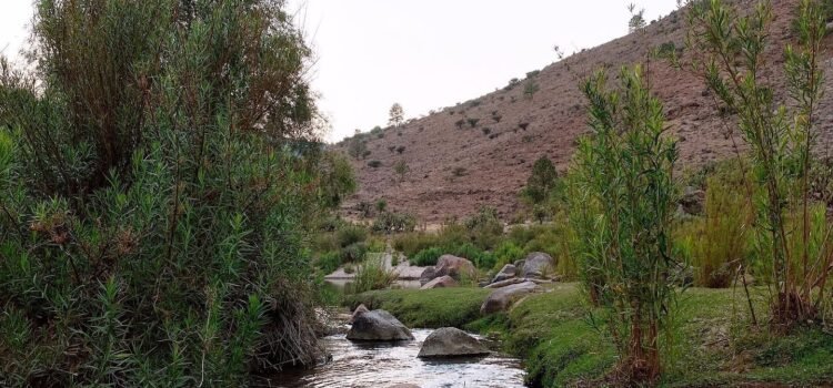 Confirman, “Tres Molinos” quedará bajo el agua: gobernador de Durango
