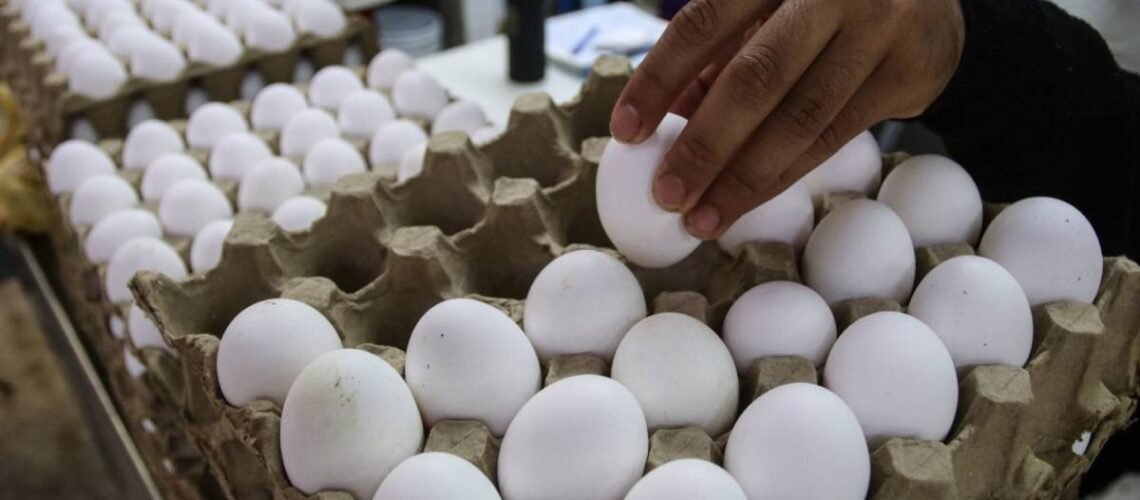Advierten nuevo aumento al precio del huevo