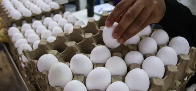 Advierten nuevo aumento al precio del huevo
