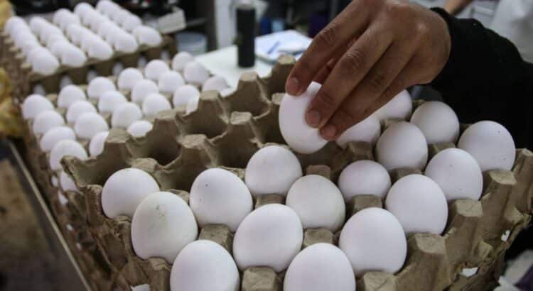 Advierten nuevo aumento al precio del huevo
