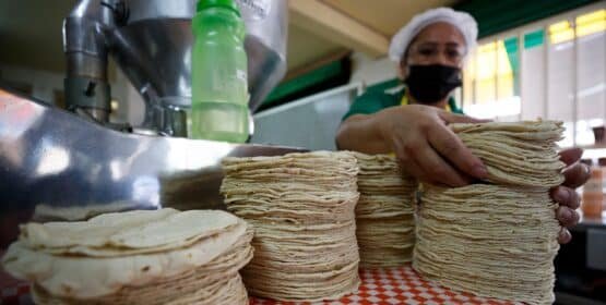 No se contempla el aumento al precio de la tortilla