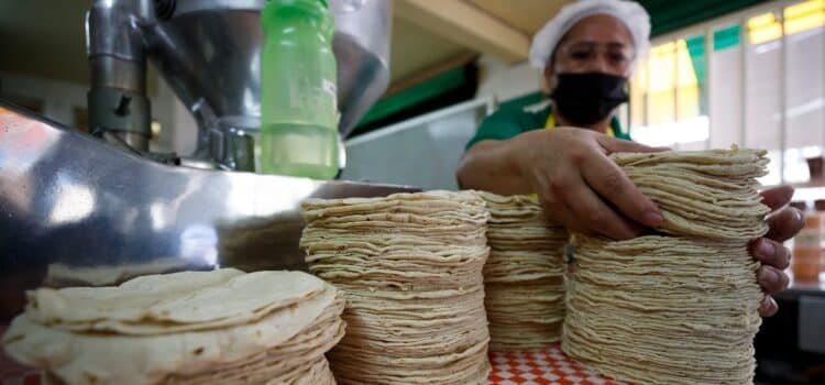 No se contempla el aumento al precio de la tortilla