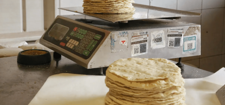 Durango podría recibir beneficios por el Acuerdo Nacional Maíz-Tortilla