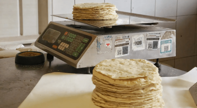 Durango podría recibir beneficios por el Acuerdo Nacional Maíz-Tortilla