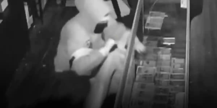 Robó más de 100 mil dólares … en cartas de Pokémon