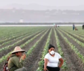 Inician campesinos huelga de 72 horas en California