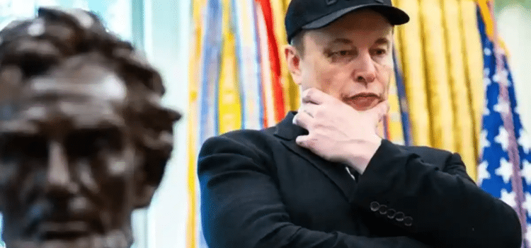 Lanza Musk su propio partido