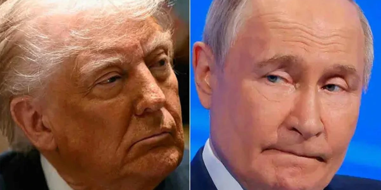 Acepta Putin propuesta de reunión de Trump Acepta Putin propuesta de reunión de Trump