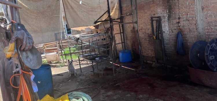 Clausuran presunto matadero clandestino en Durango tras denuncia ciudadana