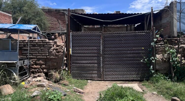 Continúa la investigación del rastro clandestino; analizan las sanciones Continúa la investigación del rastro clandestino; analizan las sanciones