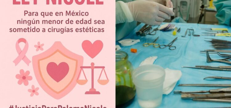 Presentan iniciativa de la #LeyNicole