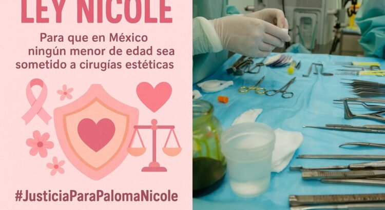 Presentan iniciativa de la #LeyNicole