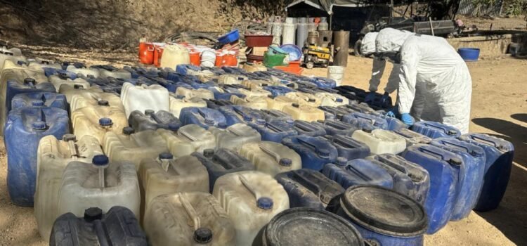 Desmantelan narcolaboratorios en Durango: destacan avances en el combate a la producción de drogas sintéticas