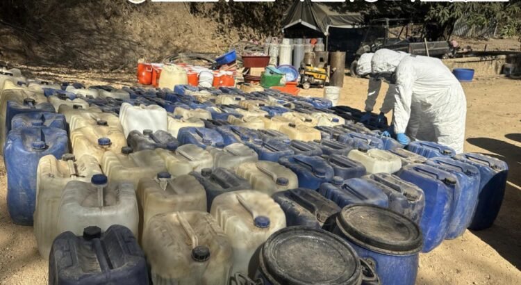 Desmantelan narcolaboratorios en Durango: destacan avances en el combate a la producción de drogas sintéticas