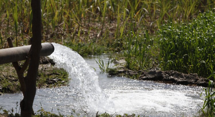 Continuará en Durango el tratado de 100% de aguas residuales Continuará en Durango el tratado de 100% de aguas residuales