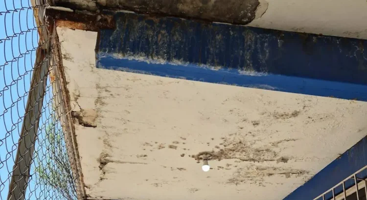 Aseguran los estudiantes que persisten las chinches en la FADER